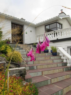 Отель Kilbree House B&B  Голуэй